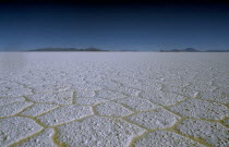 Salt plains in year of heavy rain with hexagonal patterns formed across surface.