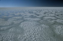 Salt plains in year of heavy rain.