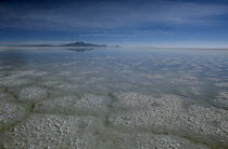Salt plains in year of heavy rain.