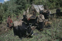 Forest halt for family and yak herd retreating from upland pastures.