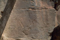 Detail of prehistoric rock relief depicting elephant.