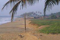 The beach and distant buildings part framed by palm fronds.Cte d Ivoire