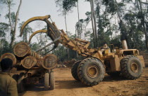 Timber induLoading felled timber in cleared area of forest.Cte d Ivoire deforestation