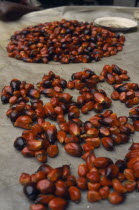 Display of palm oil nuts  graine de palme  for sale in the covered market .Cte d Ivoire
