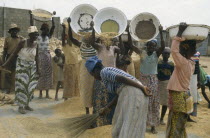 Women winnowing rice.  Farming