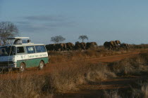 Tourists in safari jeep watching herd of elephants.