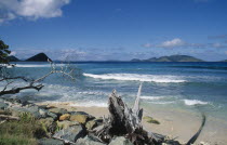 Driftwood and rocks on shore of sandy beach with breaking surf.