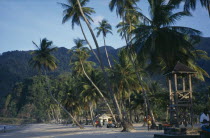 Palm fringed sandy beach with life guards stand.