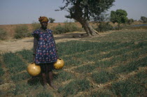 Woman watering rice seedlings beside the River Niger.