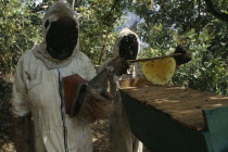Bee keepers with locally made hives near Blantyre financed by micro credit scheme.