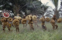 Bapende tribe animal masqueraders performing Leopard Dance at initiation rites.Zaire Congo