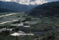 Paddy fields in agricultural landscape of the Paro Valley