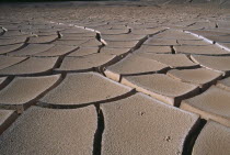 Cracked mud and fox tracks on desert surface near San Pedro de Atacama.