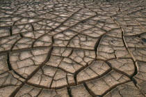 Cracked mud of desert surface near San Pedro de Atacama.