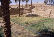 Walled garden with irrigation channels.Ghadamis Gadames