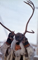 Native boy dressed in furs playing with reindeer antlers.