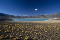 Salar de Uyuni.  Laguna Verde.  Stony desert ground with tufts of grass in foreground and salt crusted shore and jade cloured water of lake beyond.