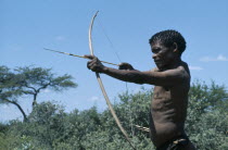 Bushman raising bow and arrow.