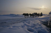 Nalrus and seal Innuit eskimo hunt.  Husky drawn sleigh in part silhouette against skyline of snow covered landscape.