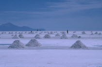 View over the salt plains with figure sweeping up piles of salt for extraction