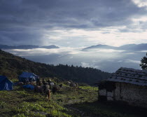 Trekkers breaking camp  pack ponies outside blue tents on hillside with view towards distant mountains partly obscured by cloud.