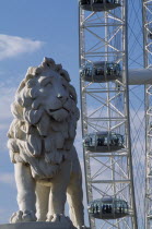 The London Eye  part view of the wheel rim with capsules and passengers behind statue of standing lion in the foreground