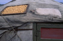 Dried cheese on roof of a yurt / ger