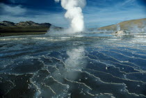 Chile, Atacama, El Tatio geyser.