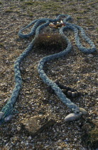Derek Jarmans garden.  Rope sculpture of Venus.
