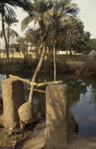 Shaduf and irrigation canal.