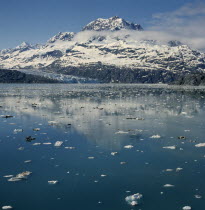 Glacier Bay  mountain water and ice chunks