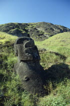 Rano Raraku Crater. Monolith Moai head statue
