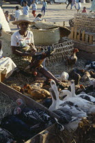Zoma Lifestock market with a woman vendor wearing a straw hat sat with chickens ducks and turkeys
