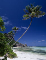 View across sandy beach and sea with overhanging palmtrees towards rocks on the coastline