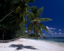 View across white sandy beach lined with overhanging palmtrees towards turquoise sea with the shadow of a palmtree on the sand