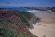 Wild flowers on cliff top overlooking sandy beach and bay near Padstow.