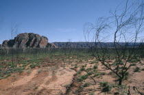 Purnululu or Bungle Bungle National Park.  Rocky outcrop in scorched terrain.