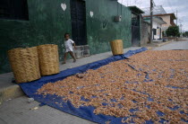 Shrimps spread out to dry on blue canvas in the street with small boy walking past on the pavement.  Prawns