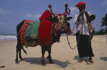 Lambani gypsy playing wind instrument and leading cow with highly decorated harness on beach.romany Lambadi