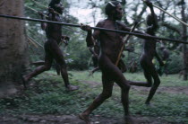 Dani tribal warriors recreating battle  with spears.