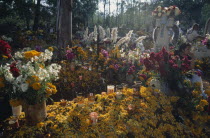 Graves in Tzurumutaro cemetery decorated with candles marigold petals orchids and other flowers for Day of the Dead celebrations.