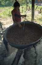 Igarape Arua. Satere Maue Indian woman roasting Guarana seeds on a clay ovenBrasil Brazil