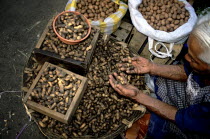 At the back of Oaxaca City lies a large market where it is possible to buy almost everything. It is the day before the Catholic Festival Semana Santa known world-wide as Easter. In the middle of the m...