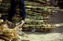 At the back of Oaxaca City lies a large market where it is possible to buy almost everything. It is the day before the Catholic Festival Semana Santa known world-wide as Easter. At the back of the mar...