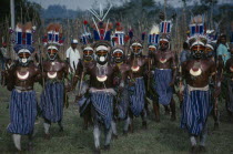 Western Highlands. Mount Hagen. Sing Sing Festival. Mid Wahgi men in traditional costumes with faces painted and elaborate headdresses Indigenous