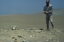 The late conservationist  Felipe Benavides at Guanacos Cemetery