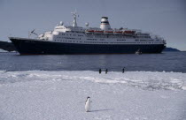 Cape Royds. Tourist ship called Marco Polo on water with Adelie Penguins on the ice in the foreground