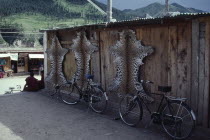 Leopard skins smuggled from India or Nepal hanging on the side of a wooden building next to bicycles
