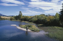 Man trout fishing in river near Crowsnest Pass with dog standing in water at his feet.