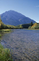 Landscape near Crowsnest Pass with river flanked by trees in fall colours and mountains beyond.  colors